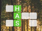 Juego Word Connect en línea