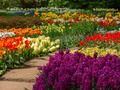Juego Jardín de flores 2  en línea