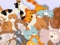 Juego Encontrar el gatito  en línea
