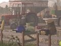 Juego Granja de cerdos  en línea