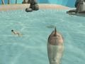 Juego Simulador de tiburón playa asesino  en línea