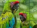 Juego Jigsaw Puzzle Bosque lluvioso  en línea