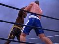 Juego Club de boxeo  en línea