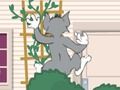 Juego Tom und Jerry: Wasserbomben Wahnsinn en línea