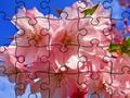 Juego Rompecabezas: Flores  en línea