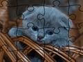 Juego Rompecabezas: Gatos  en línea