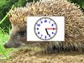 Juego Relojes de fotos de rompecabezas en línea
