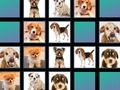 Juego Memoria animal  en línea