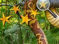 Juego Estrellas escondidas de la jungla en línea