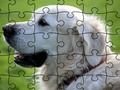 Juego Rompecabezas de animales domesticados  en línea