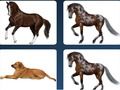 Juego Problema de memoria de las mascotas  en línea