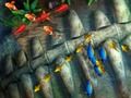 Juego Rey de la pesca  en línea