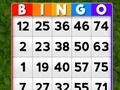 Juego Bingo en línea