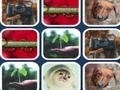Juego Problema de memoria  en línea