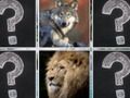Juego Los animales de la jungla coinciden con la memoria en línea