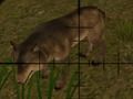 Juego Cazadores de animales  en línea