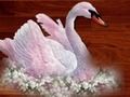 Juego Rompecabezas de los pájaros del amor en línea