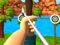 Juego Tiro con arco maestro  en línea