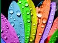 Juego Colores y diseños  en línea