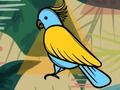 Juego Colorear pájaros exóticos  en línea