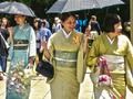 Juego 100 mariposas en Japón  en línea