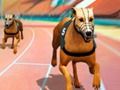 Juego Fiebre de carreras de perros locos  en línea