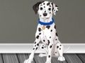 Juego Médico veterinario Escape 2  en línea