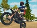 Juego Dirt Bike Enduro Racing en línea