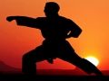 Juego Guerreros del atardecer de karate  en línea