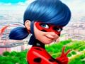 Juego Colección LadyBug Jigsaw Puzzle  en línea