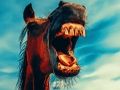 Juego Animales divertidos y sonrientes  en línea