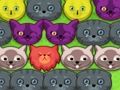 Juego Gatitos pop-pop  en línea