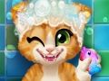 Juego Baño de gatito oxidado  en línea