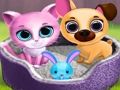 Juego Lindos amigos mascotas  en línea