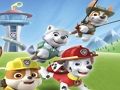 Juego Patrulla Canina Para Colorear  en línea