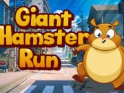 Juego Carrera de hámster gigante  en línea