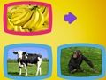 Juego ¿Qué comen los animales?  en línea