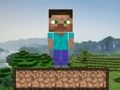 Juego Supervivencia en Minecraft  en línea