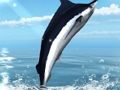 Juego Pesca en el mar azul  en línea