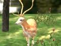 Juego Animal Safari Hunter 2020 en línea