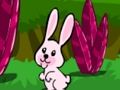 Juego Escapar del conejo saltando  en línea