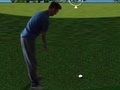 Juego Flash Golf 3D  en línea