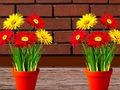 Juego Escape de la casa de las flores  en línea
