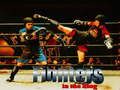 Juego Luchadores en el ring  en línea