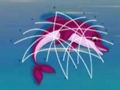 Juego Rescate de delfines en lĂnea Juego Rescate de delfines en lĂnea