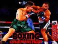 Juego Lucha de campeones de boxeo  en línea