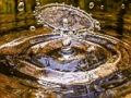 Juego Rompecabezas de salpicaduras de agua  en línea
