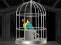 Juego Escape de loros  en línea