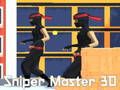 Juego Francotirador maestro 3d  en línea