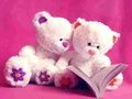 Juego Diapositiva linda de los osos de peluche  en línea